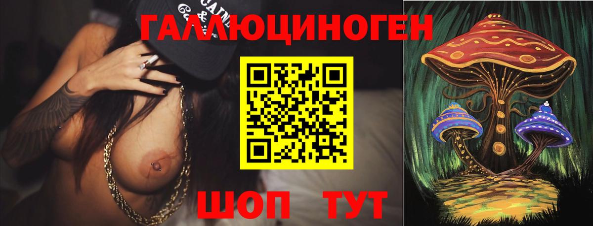 хочу наркоту  Вход с VPN  Псилоцибиновые грибы мицелий  Конаково  Псилоцибиновые грибы GOLDEN TEACHER 